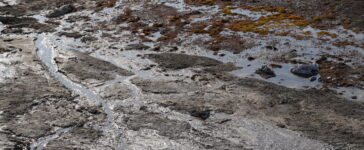 permafrost
