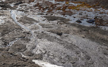 permafrost