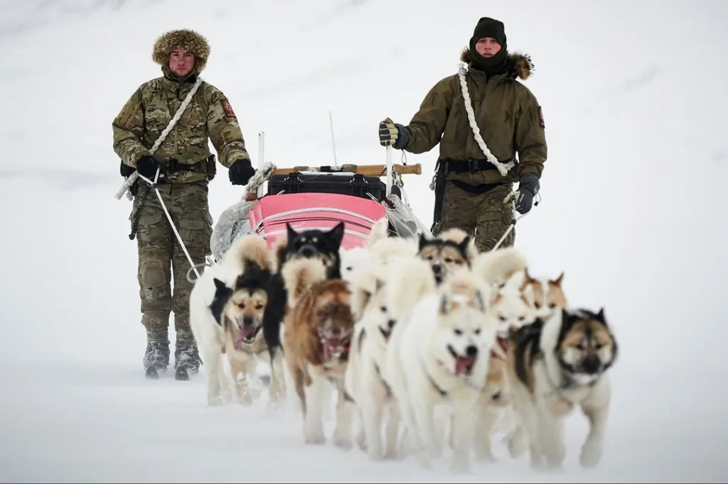 nordefco sirius dog sled patrol
