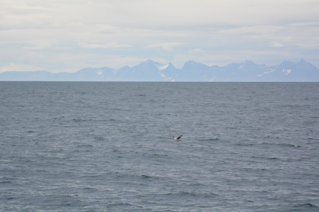 high north25 svalbard