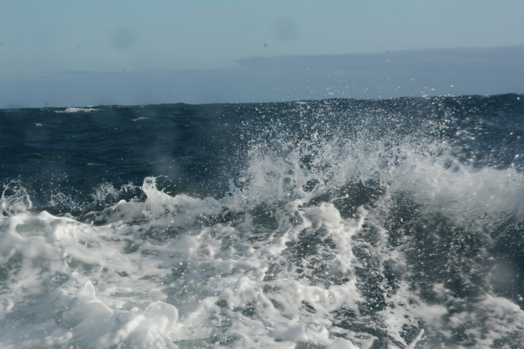 mare grosso high north