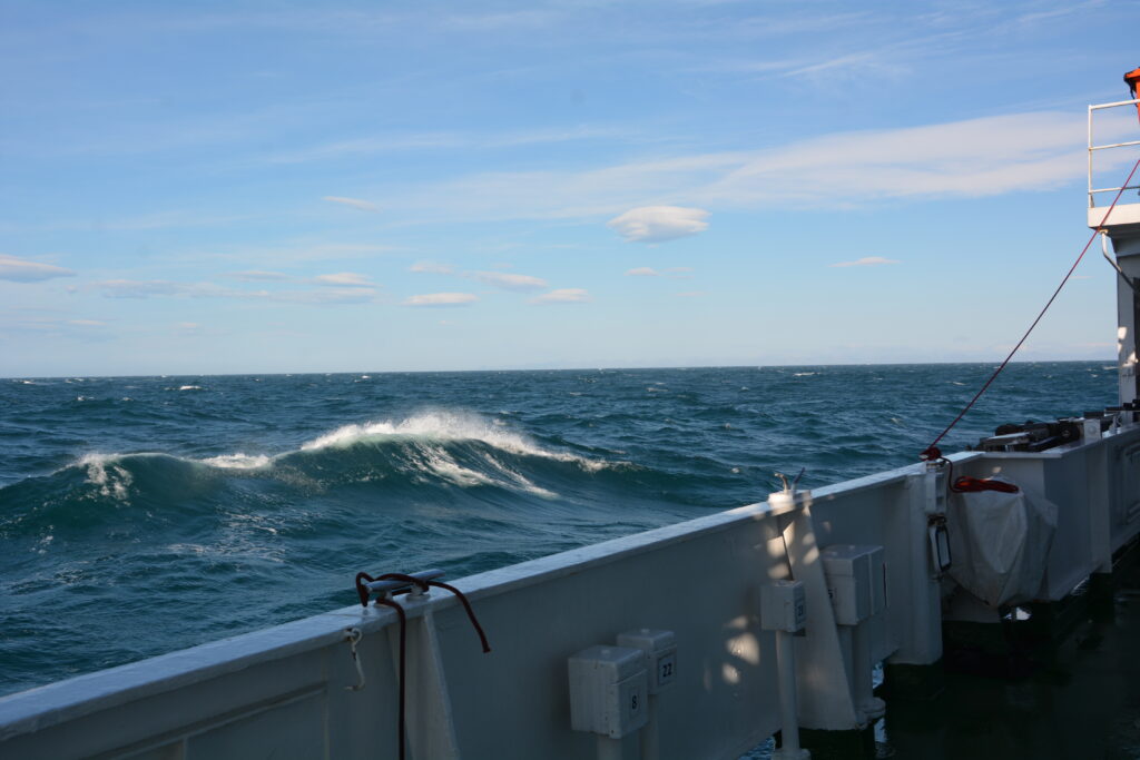 mare grosso high north
