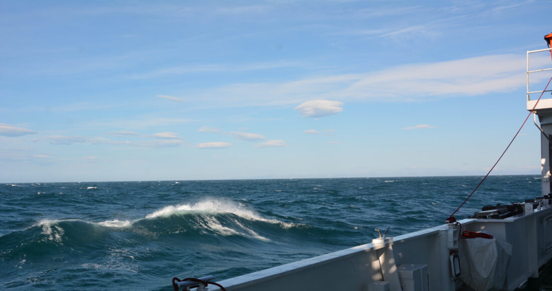 mare grosso high north