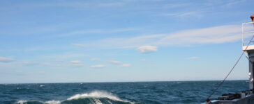 mare grosso high north