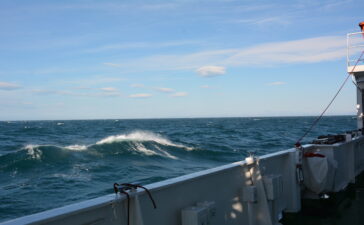 mare grosso high north