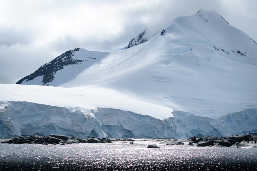 antartico valeria castiello
