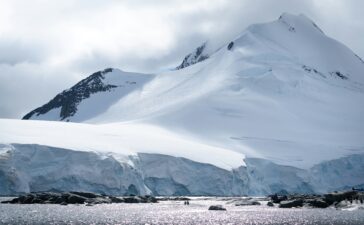 antartico valeria castiello