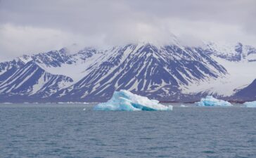 cnr svalbard