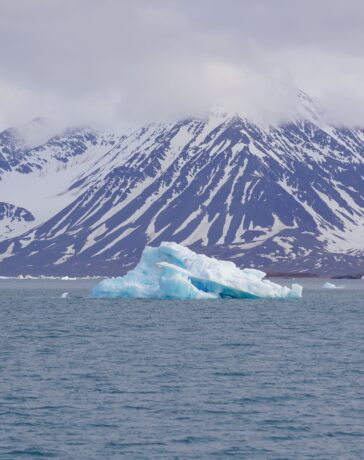 cnr svalbard