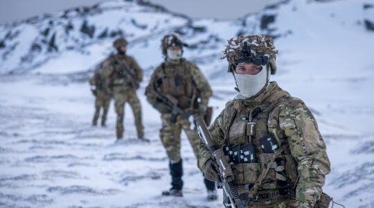esercito danimarca groenlandia