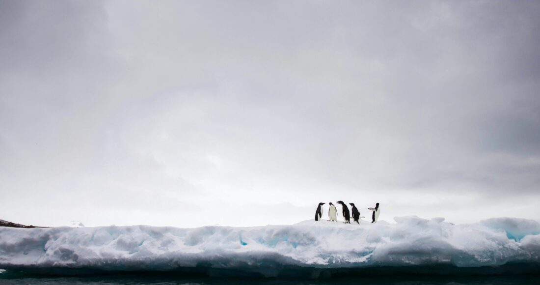 antarctic rights
