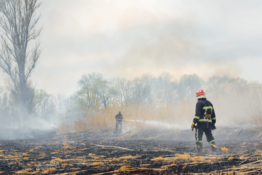incendi artico vitale