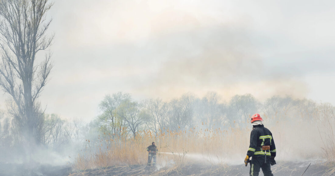 incendi artico vitale
