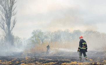 incendi artico vitale