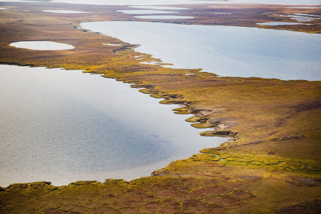 permafrost nasa incendi