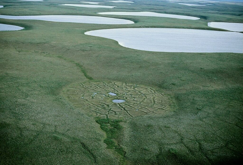 permafrost