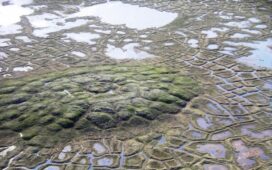 permafrost