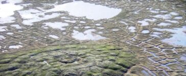 permafrost