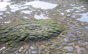permafrost