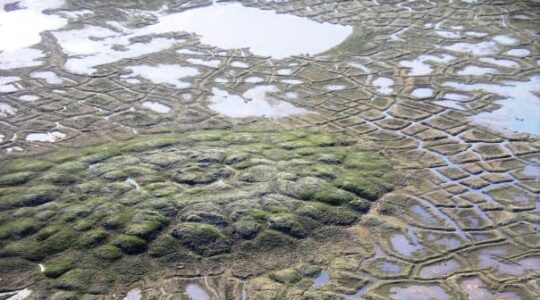 permafrost