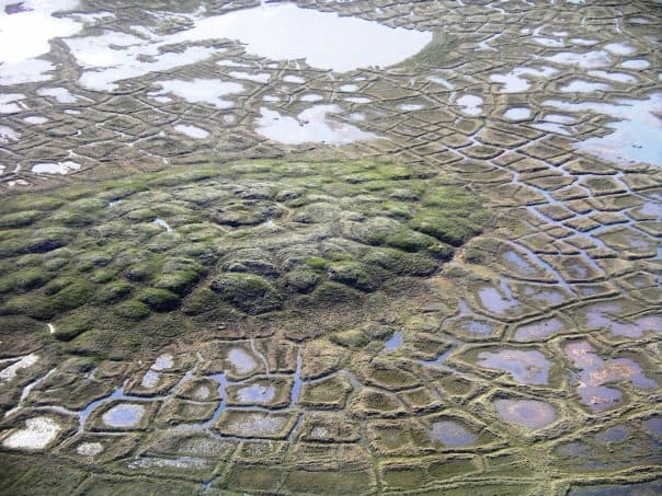 permafrost