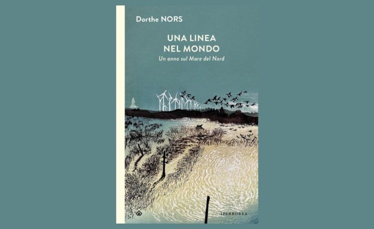 dorthe nors