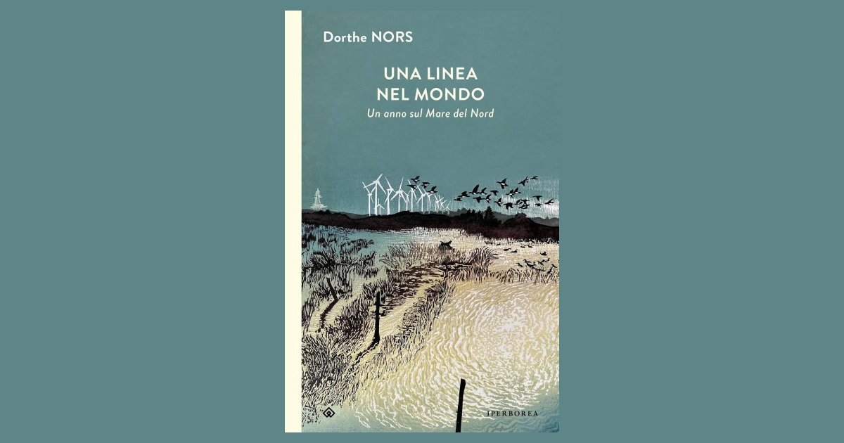 dorthe nors