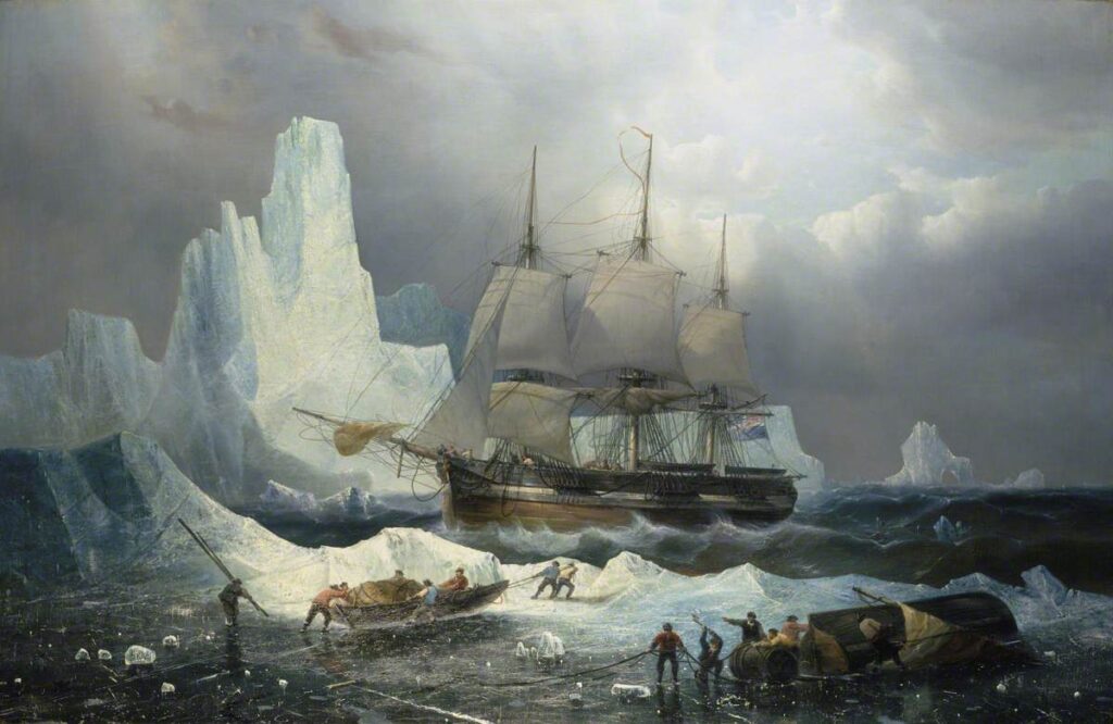erebus franklin