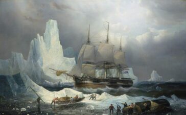 erebus franklin