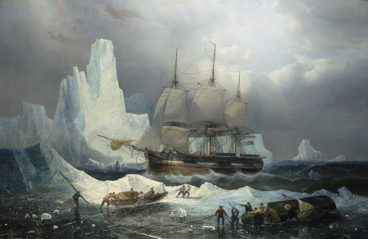erebus franklin