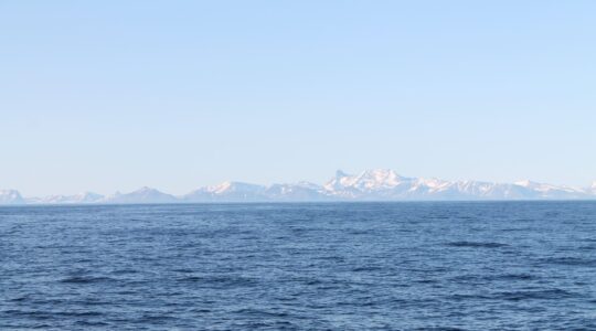 isole svalbard