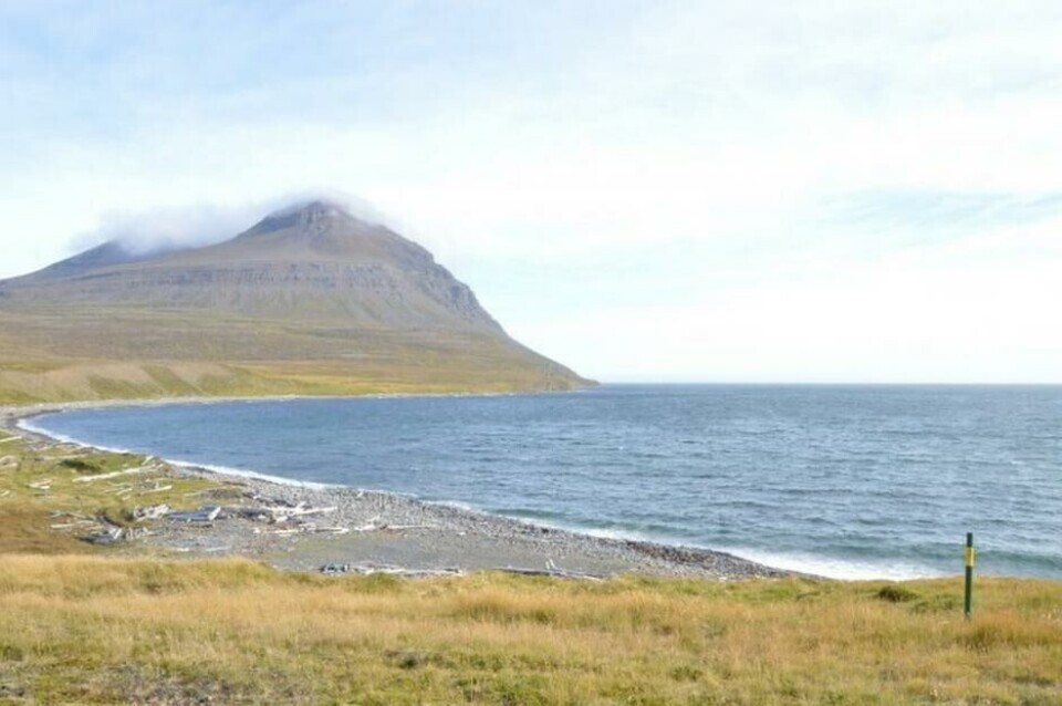 finnafjord islanda