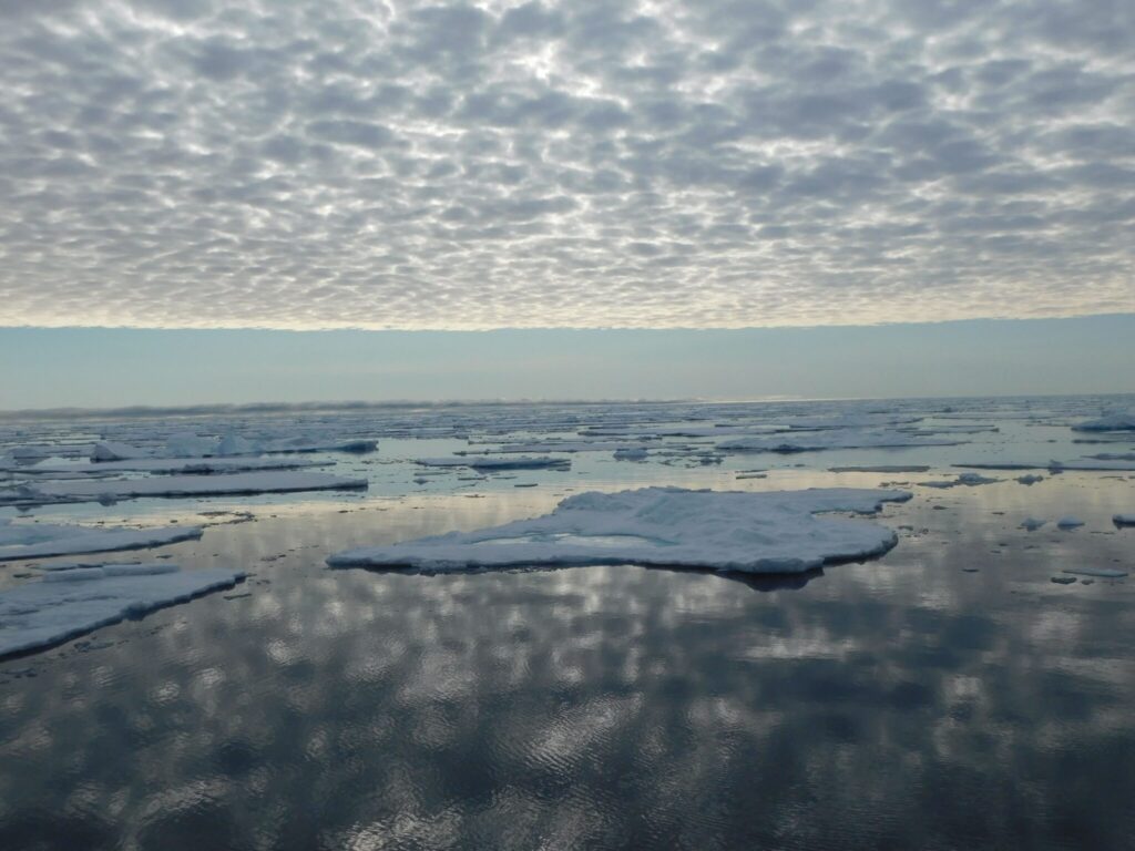 artico
