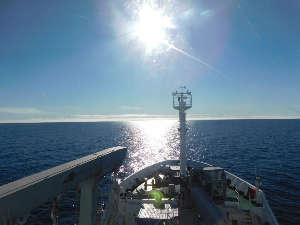 nave alliance