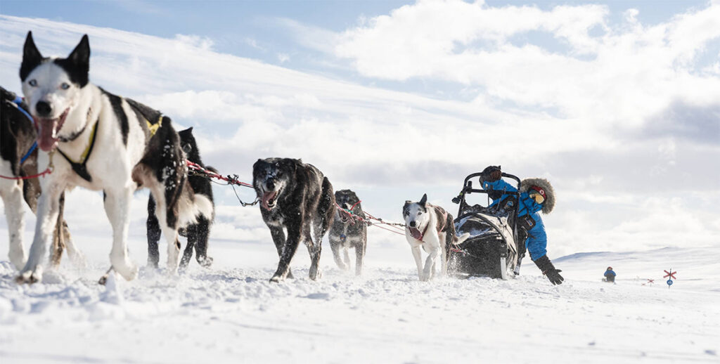 Fjällräven Polar