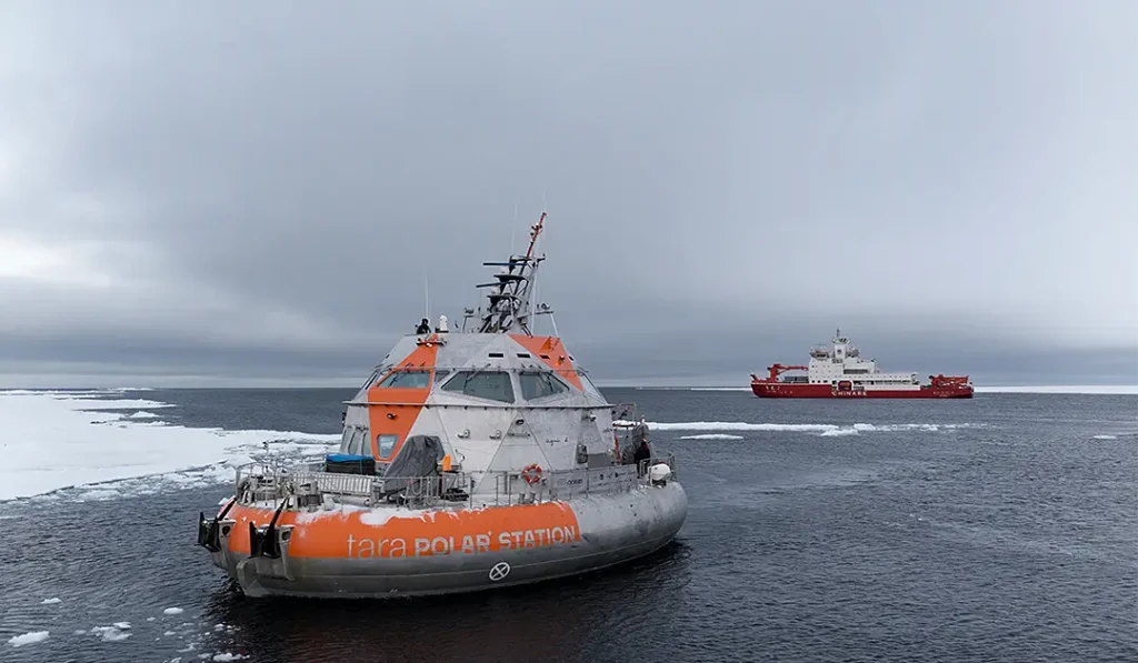 Tara polar station