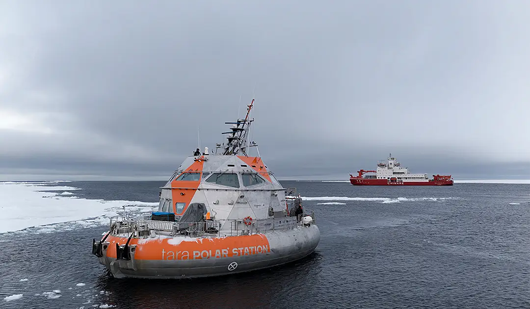 Tara polar station